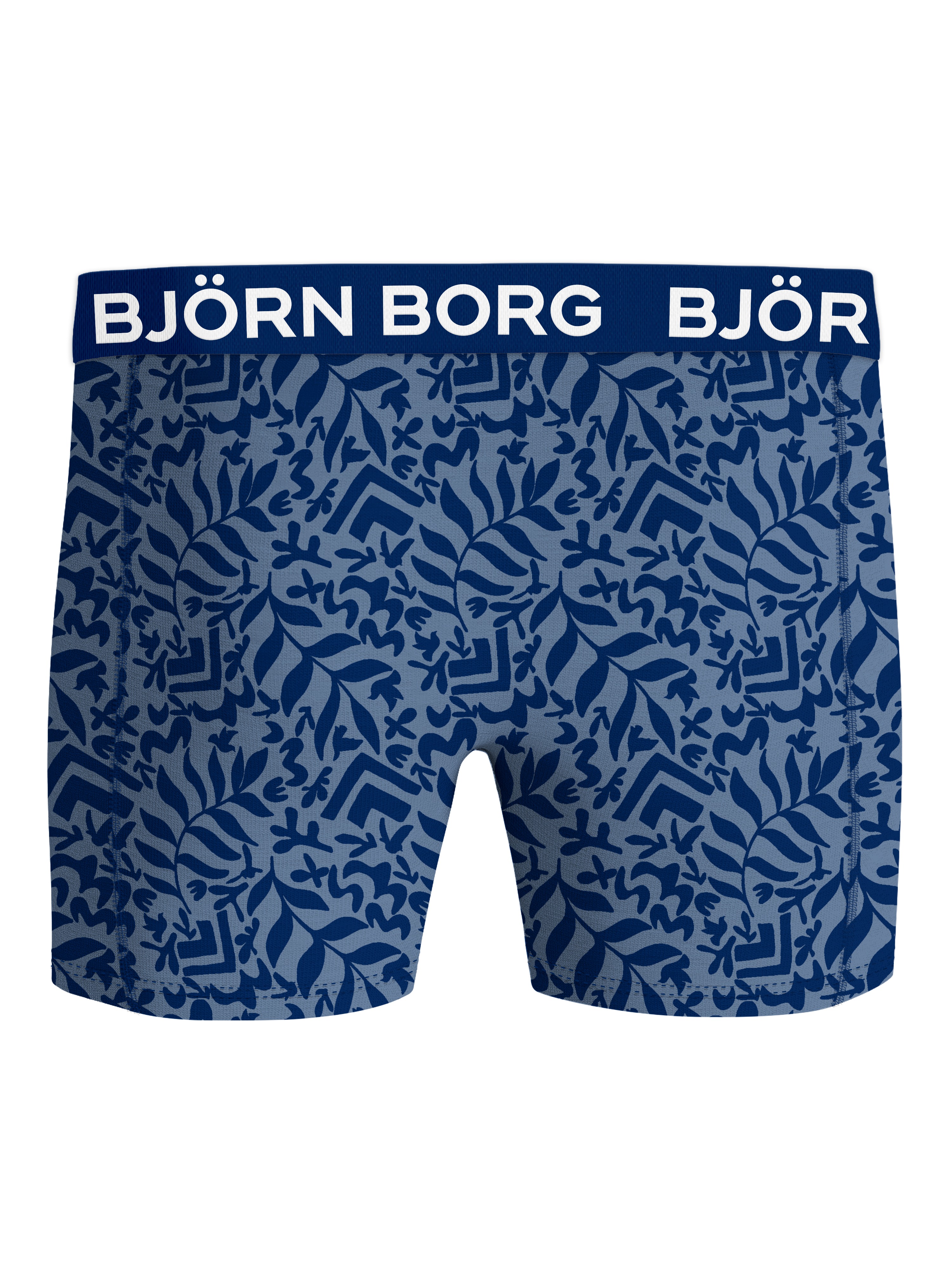 Bjorn Borg Bamboo Boxershorts 2-pack blue - print 