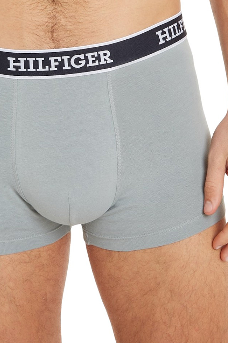 Tommy Hilfiger trunk 3-pack multi
