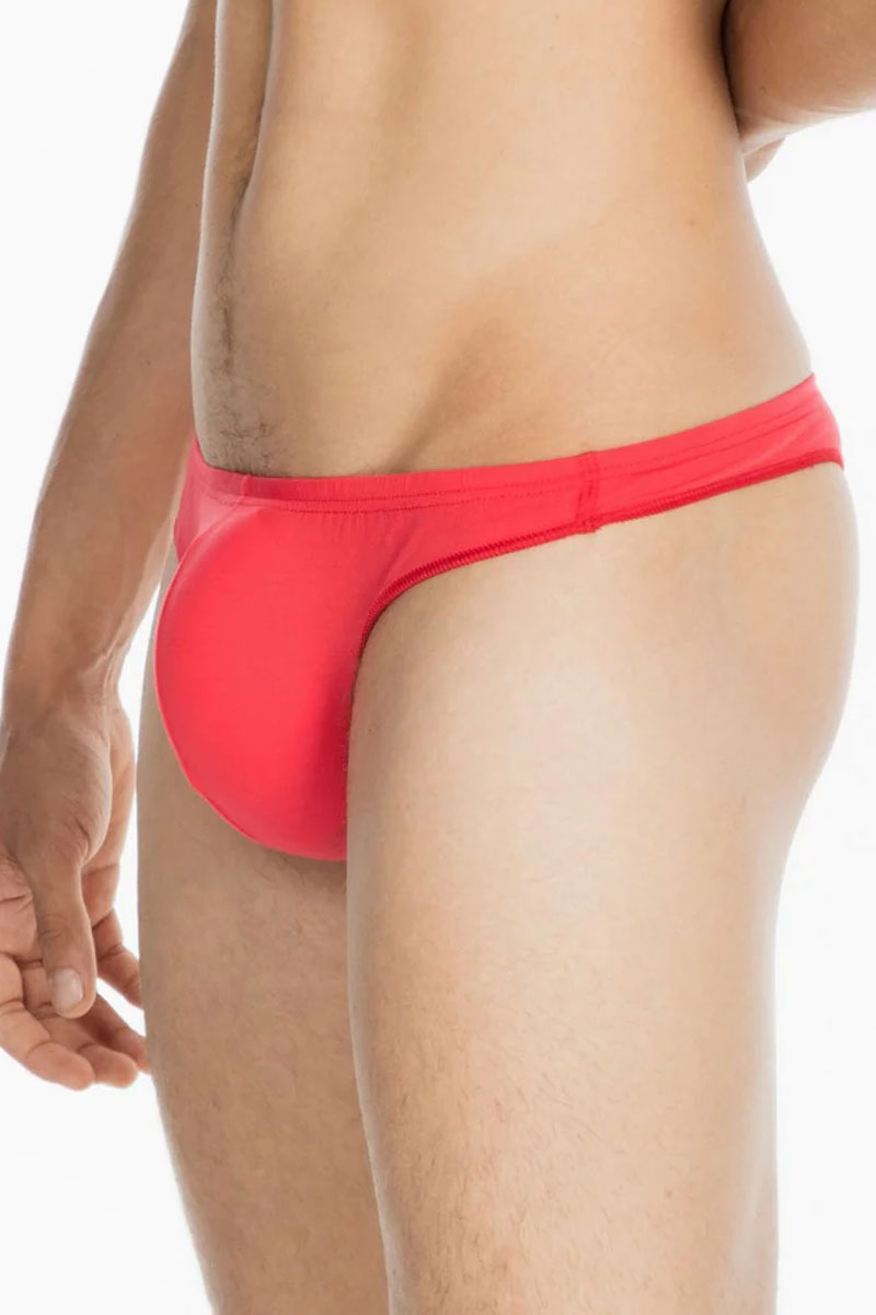 Hom Freddy string rood