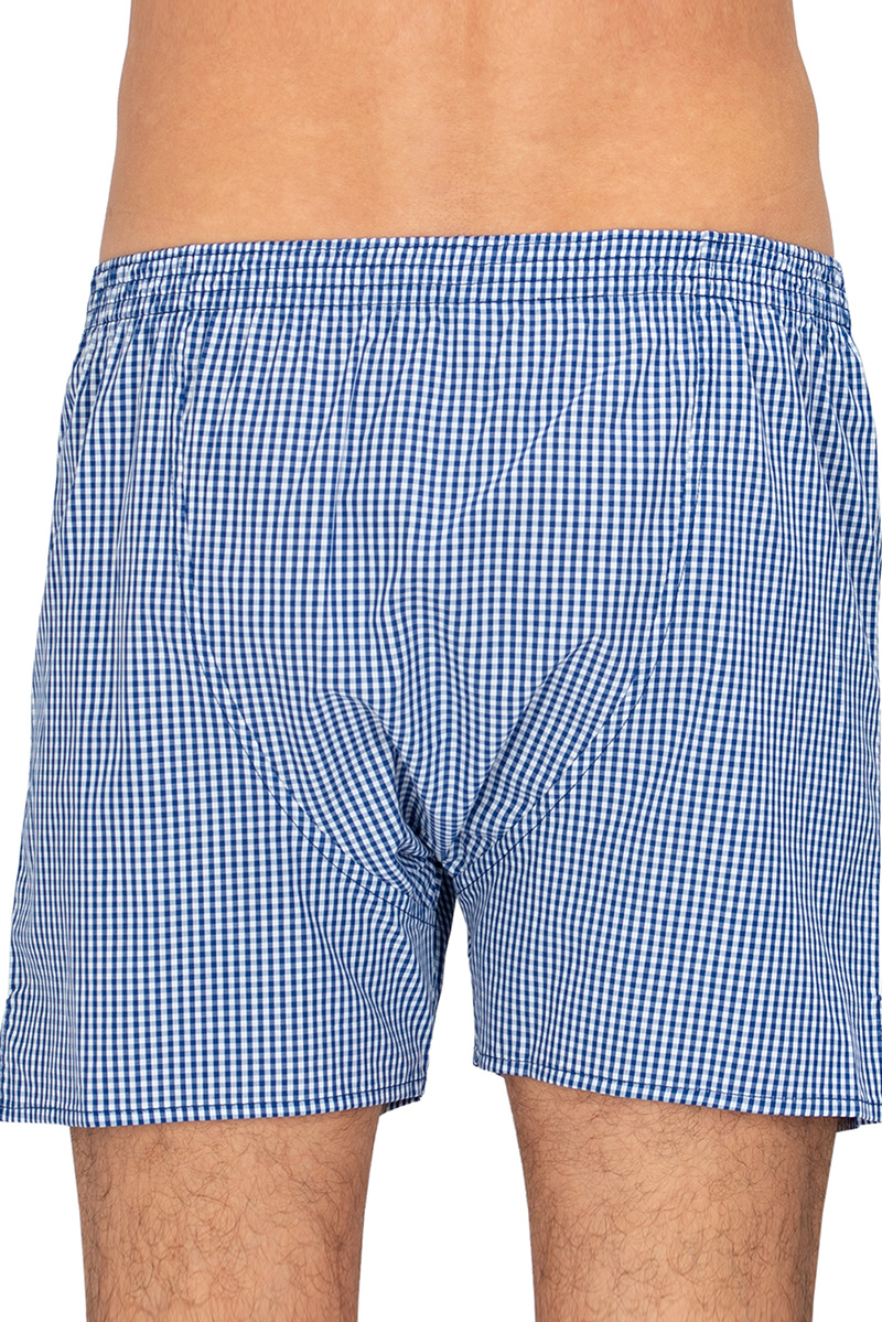 Deal Boxer blauw ruitje
